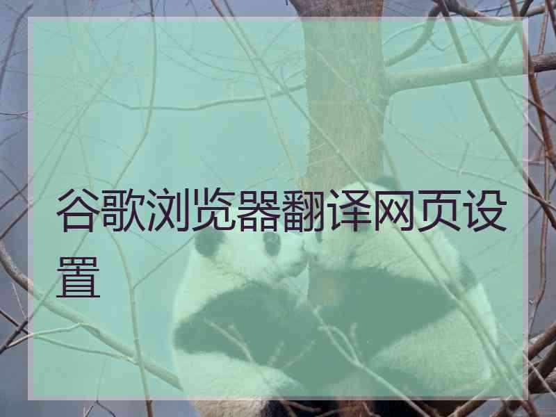 谷歌浏览器翻译网页设置