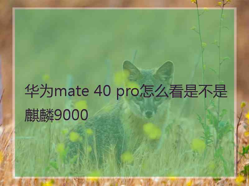 华为mate 40 pro怎么看是不是麒麟9000