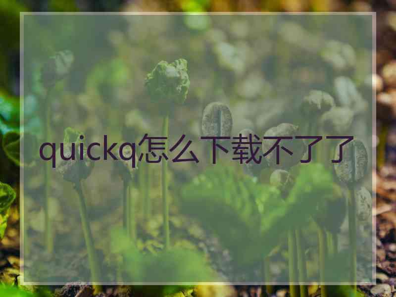 quickq怎么下载不了了