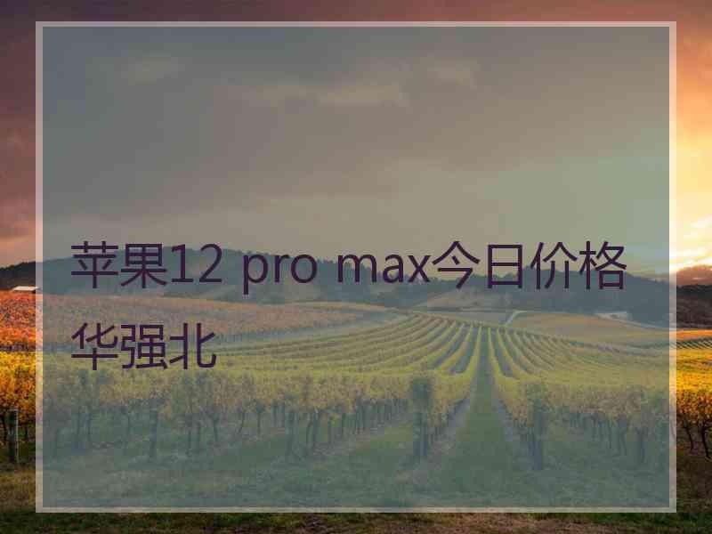 苹果12 pro max今日价格华强北