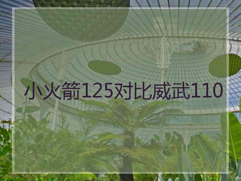 小火箭125对比威武110