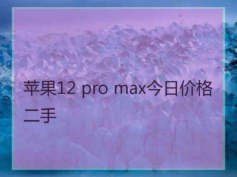 苹果12 pro max今日价格二手