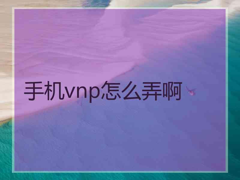 手机vnp怎么弄啊