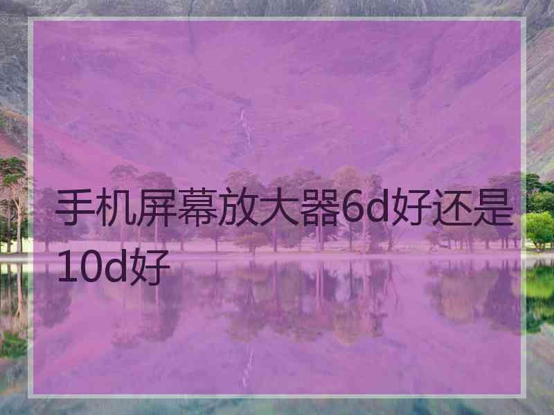 手机屏幕放大器6d好还是10d好