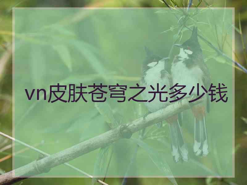 vn皮肤苍穹之光多少钱