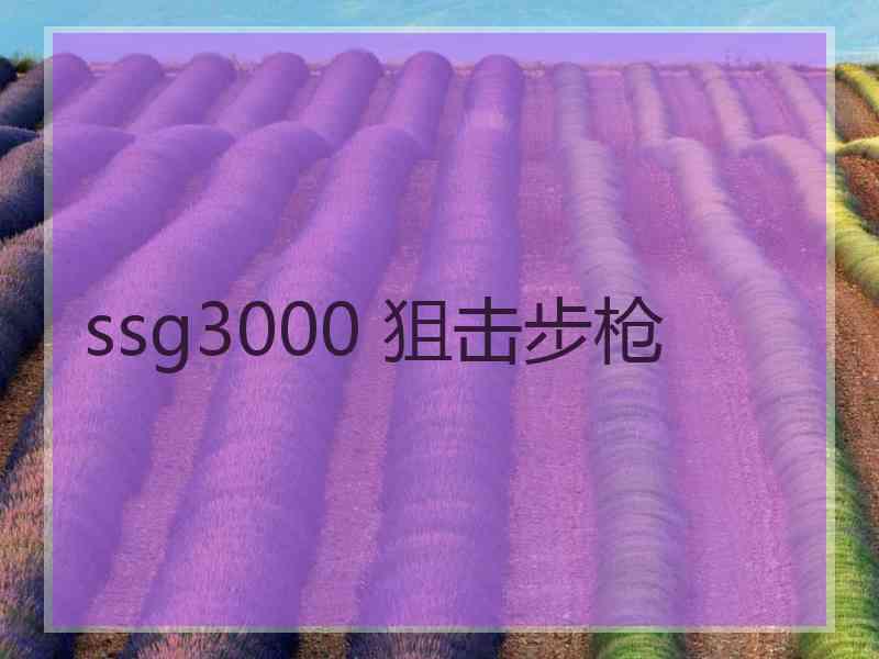 ssg3000 狙击步枪