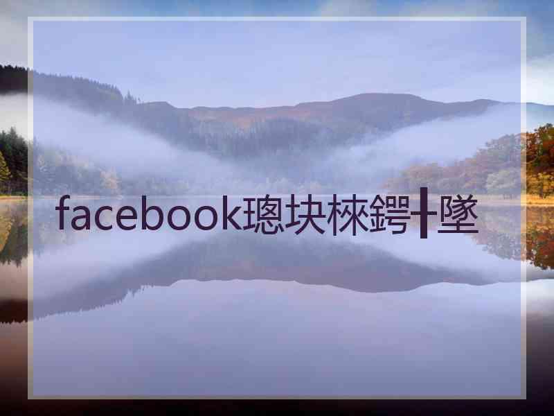 facebook璁块棶鍔╂墜