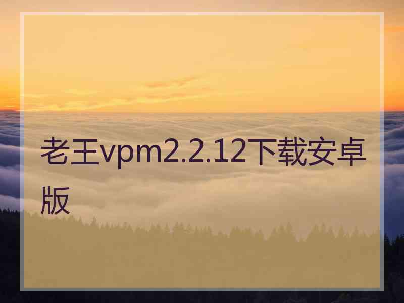 老王vpm2.2.12下载安卓版