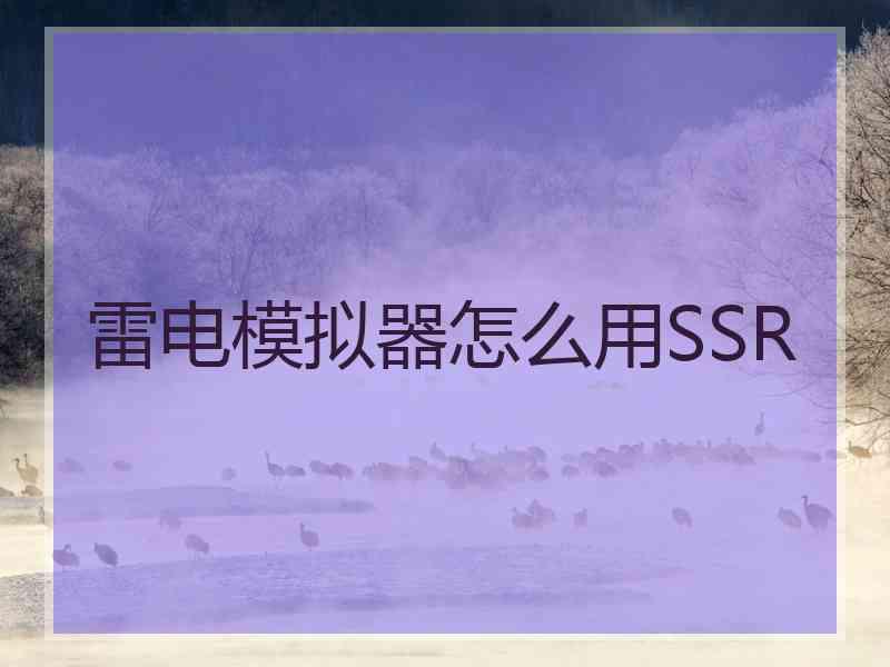 雷电模拟器怎么用SSR