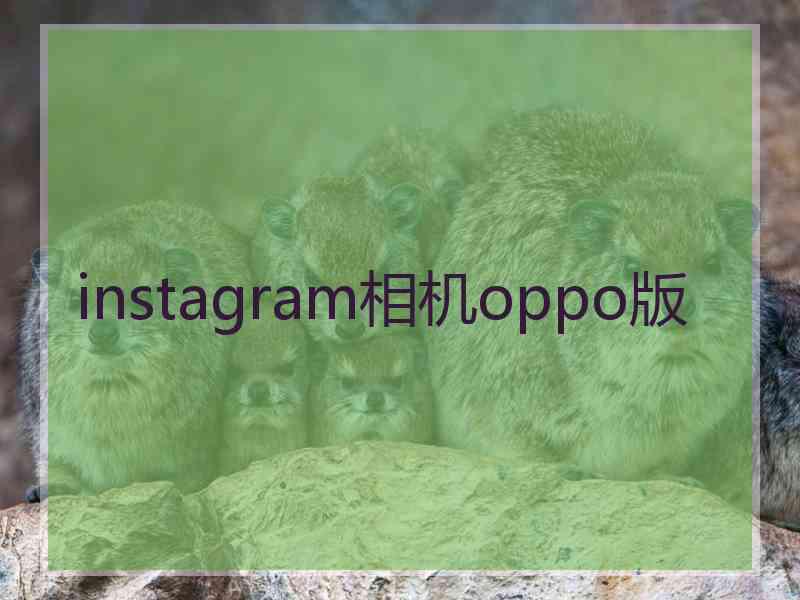 instagram相机oppo版