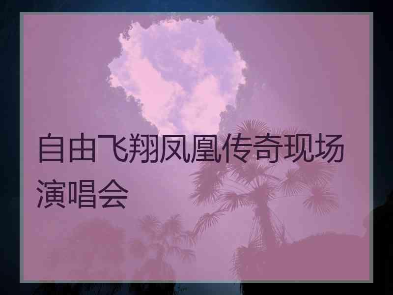 自由飞翔凤凰传奇现场演唱会