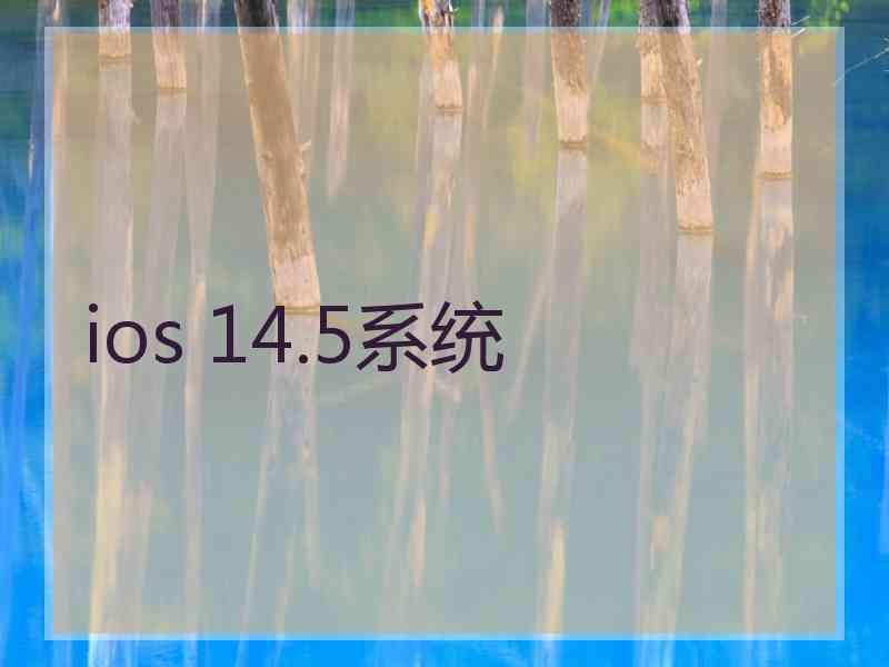 ios 14.5系统