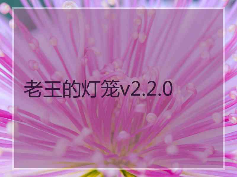 老王的灯笼v2.2.0