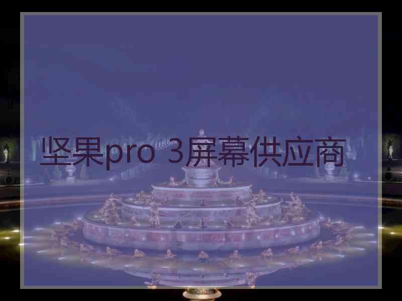 坚果pro 3屏幕供应商