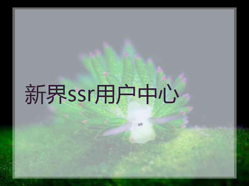 新界ssr用户中心