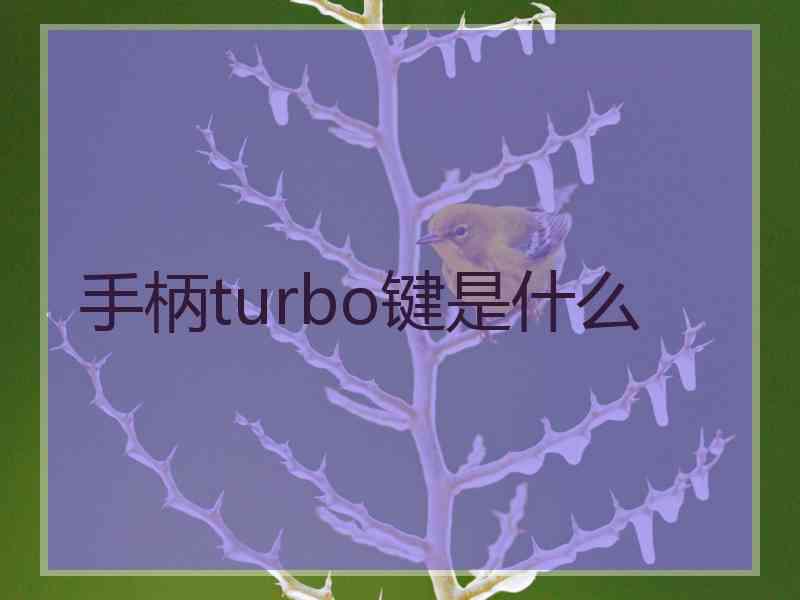 手柄turbo键是什么