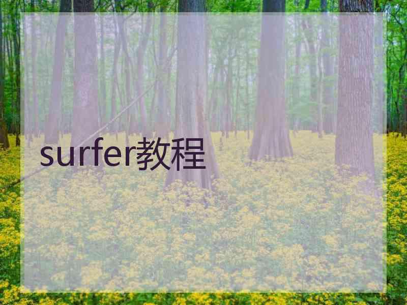 surfer教程