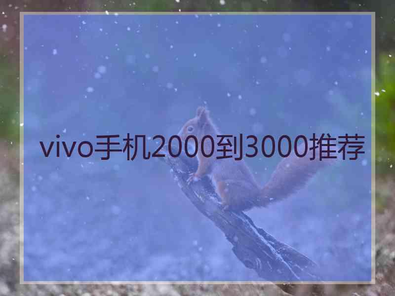 vivo手机2000到3000推荐