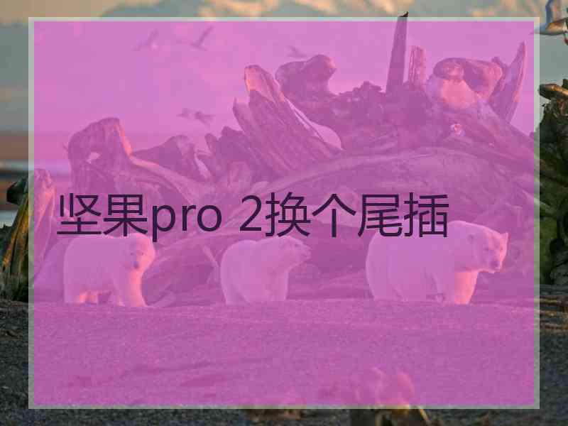 坚果pro 2换个尾插