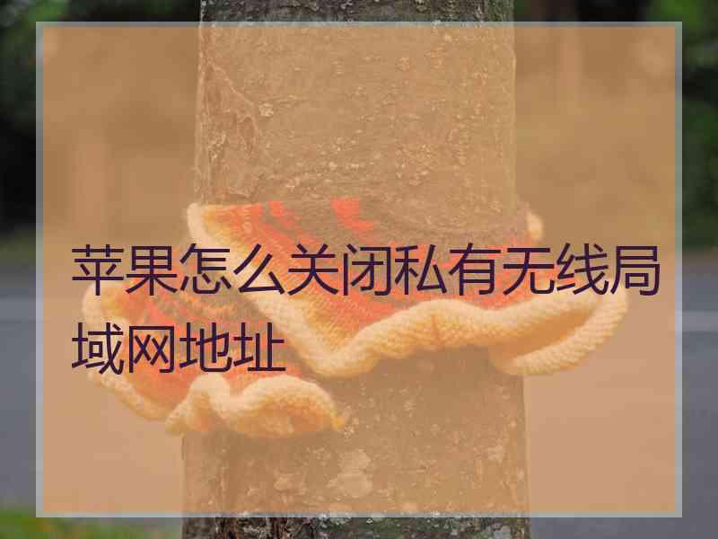 苹果怎么关闭私有无线局域网地址