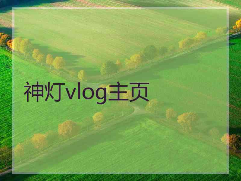 神灯vlog主页