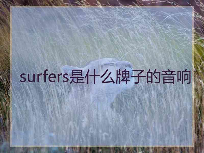 surfers是什么牌子的音响