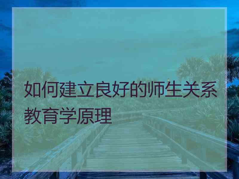 如何建立良好的师生关系教育学原理