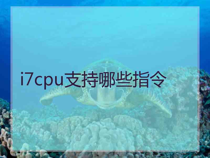 i7cpu支持哪些指令