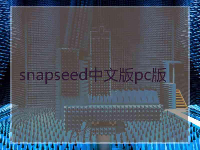 snapseed中文版pc版