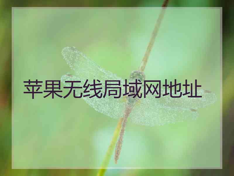 苹果无线局域网地址