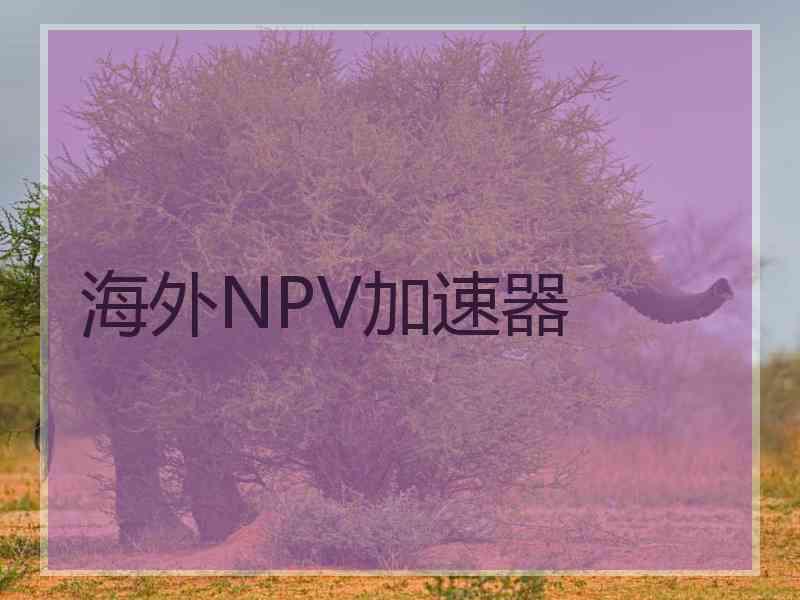 海外NPV加速器