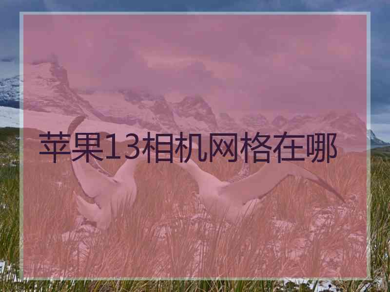 苹果13相机网格在哪