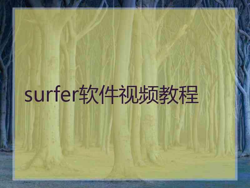 surfer软件视频教程