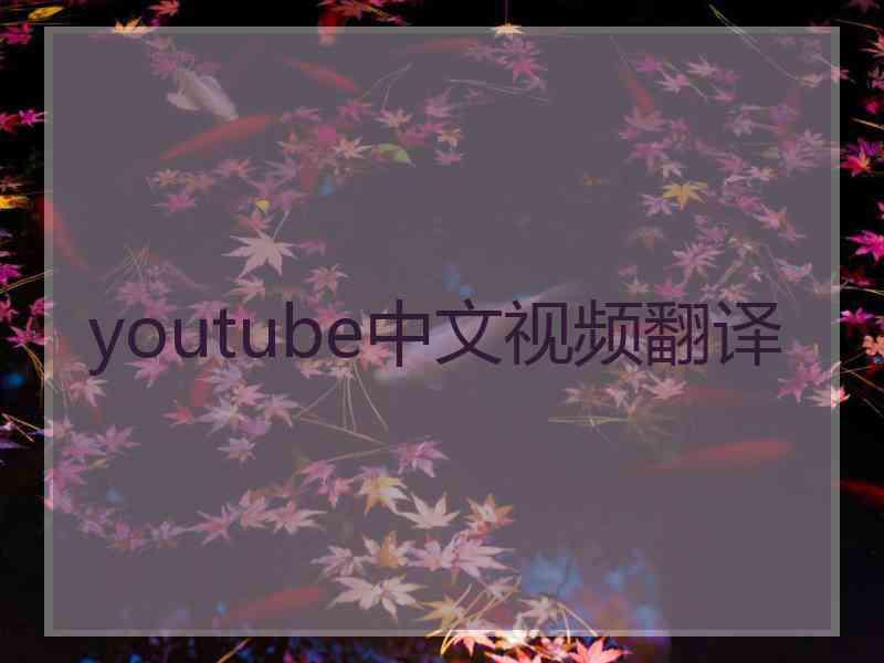 youtube中文视频翻译