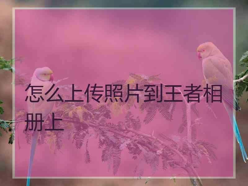 怎么上传照片到王者相册上