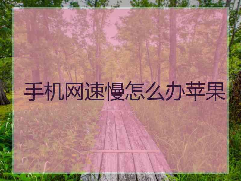 手机网速慢怎么办苹果