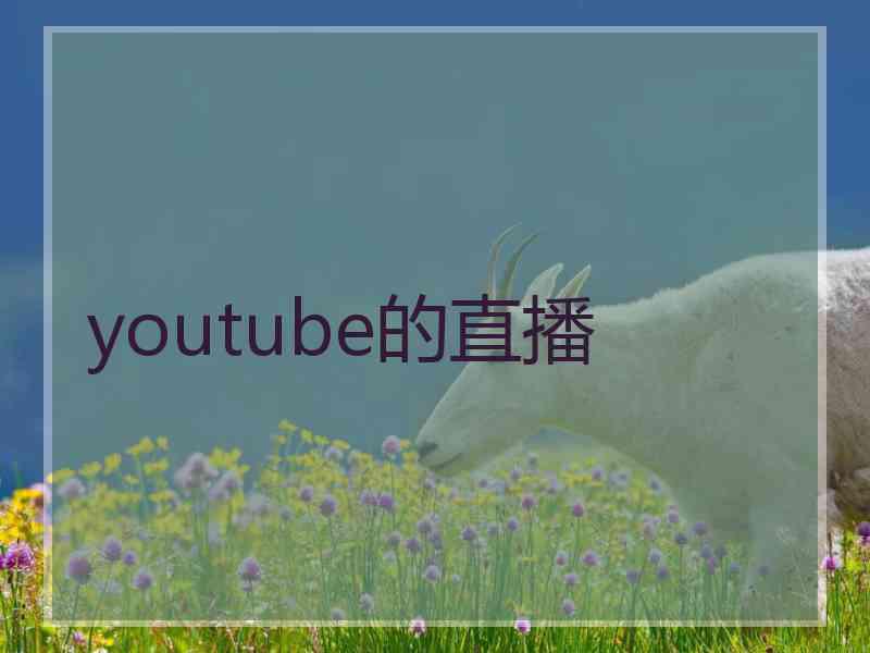 youtube的直播