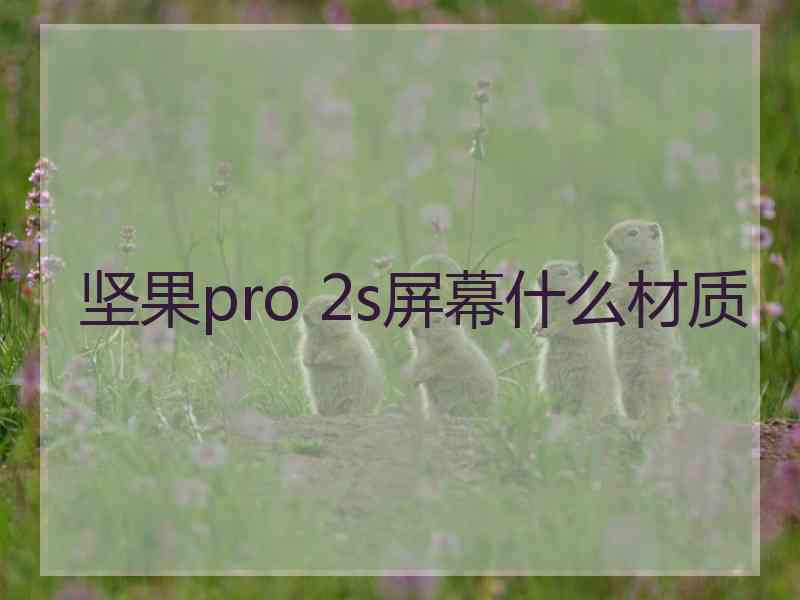 坚果pro 2s屏幕什么材质