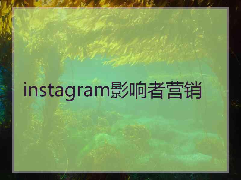 instagram影响者营销