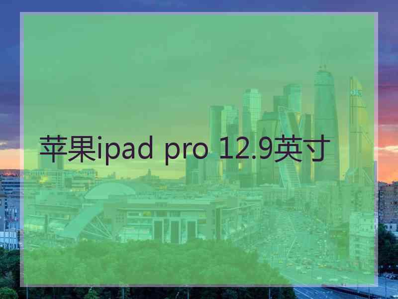 苹果ipad pro 12.9英寸