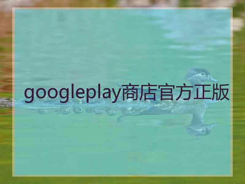 googleplay商店官方正版