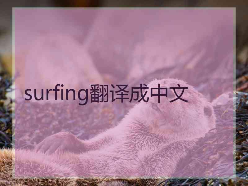 surfing翻译成中文