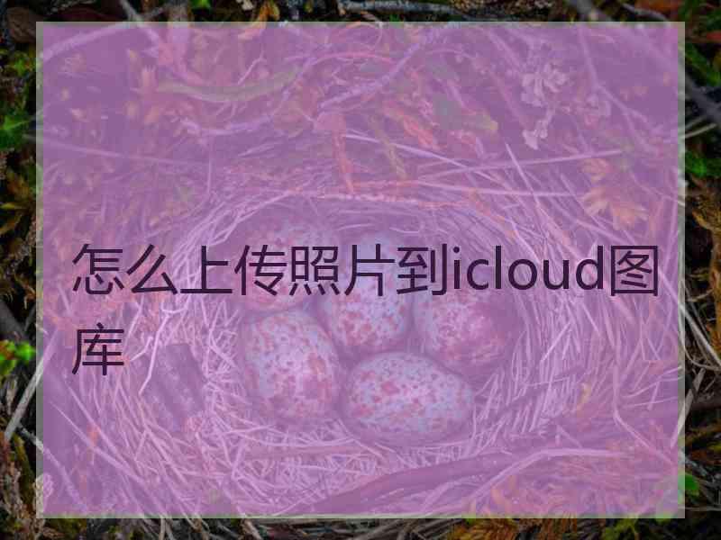 怎么上传照片到icloud图库