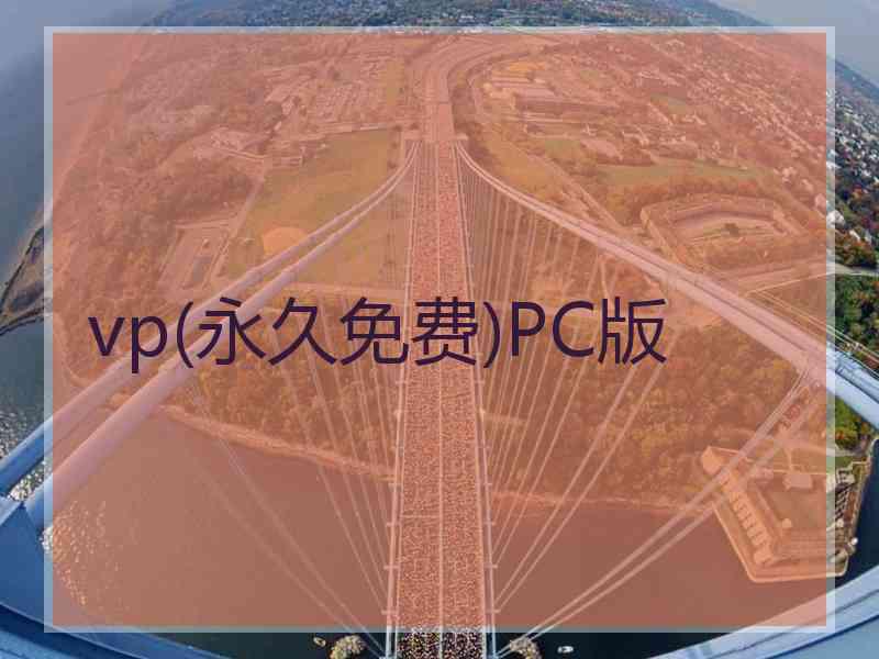 vp(永久免费)PC版