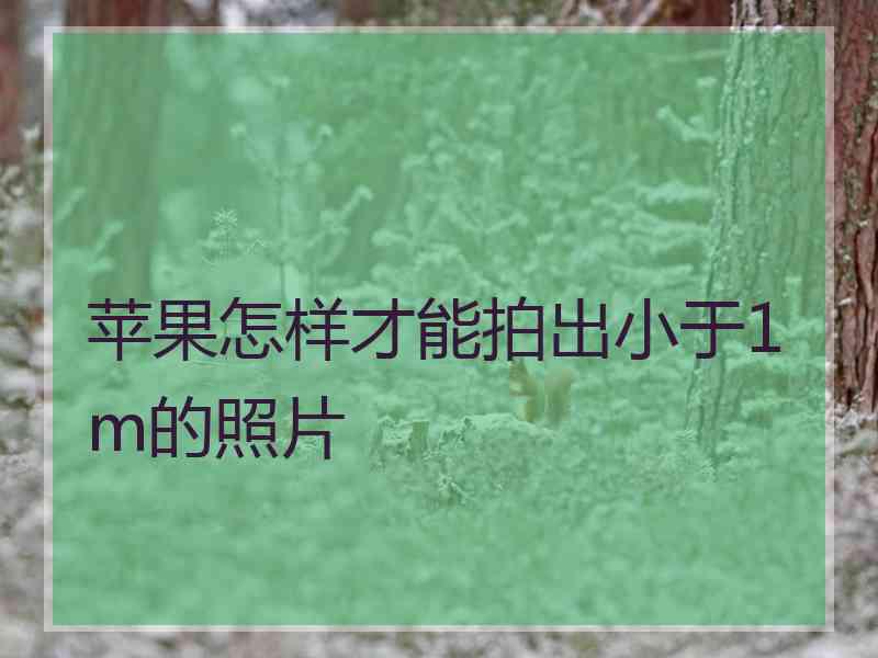 苹果怎样才能拍出小于1m的照片