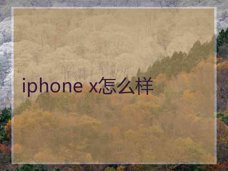 iphone x怎么样