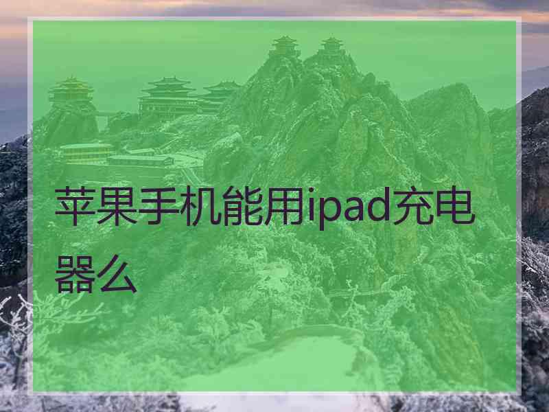 苹果手机能用ipad充电器么