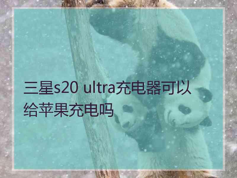 三星s20 ultra充电器可以给苹果充电吗