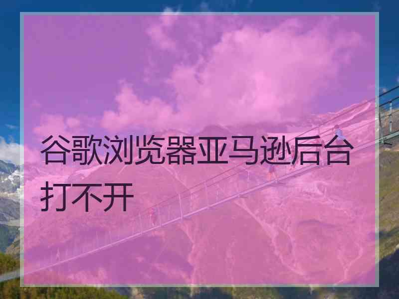 谷歌浏览器亚马逊后台打不开