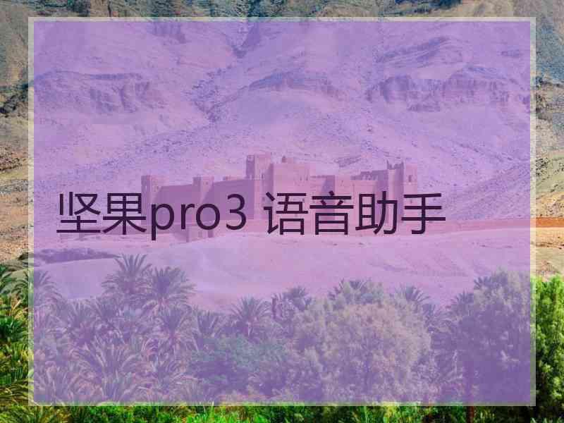 坚果pro3 语音助手